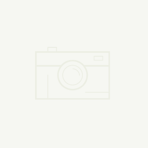 GB/T 21294-2024 — Test methods for physical and chemical properties of garments